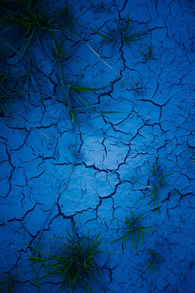 Doğanın Soyut Tuvali Kuzey Avrupa Mavi Çatlak Çamur Sanatı — Stok fotoğraf