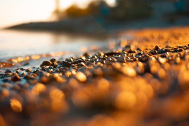 Titrek Hazineler: Serene Baltic Sea Shoreline. Güneş doğarken, Baltık Denizi kıyılarının yüzeysel görüntüsü. Kuzey Avrupa manzarası