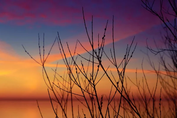 Golden Horizon Der Ostseestrand Sonnt Sich Schein Des Sonnenuntergangs Nordeuropäische — Stockfoto