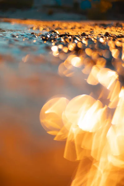 Schillernde Schätze Heitere Ostseeküste Flachbild Der Sandigen Ostseeküste Bei Sonnenaufgang — Stockfoto