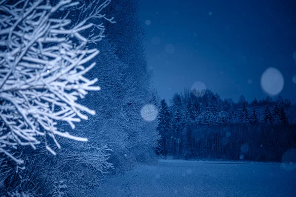 Winter Farewell Delicate Bevroren Planten Ontwaken Het Vroege Voorjaar Noord — Stockfoto