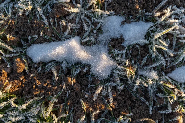 Frosty Dawn Abrazo Helado Naturaleza Principios Primavera Norte Europa — Foto de Stock