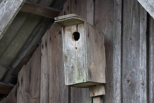 Tahta Kuş Evi Olan Güzel Bir Bahar Manzarası — Stok fotoğraf