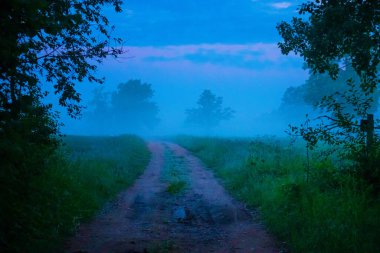 Misty Pathways: Kuzey Avrupa 'da Yaz Sabahı Sisinde Çekirdek Toprak Yol Büyüleyici