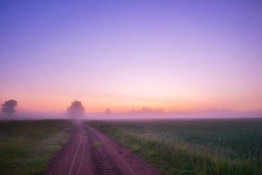 Misty Pathways: Kuzey Avrupa 'da Yaz Sabahı Sisinde Çekirdek Toprak Yol Büyüleyici