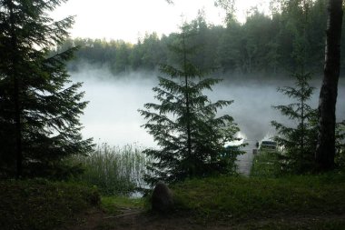 Misty Sükunet: Kuzey Avrupa 'daki Sakin Göl' de Sakin Bir Yaz Sabahı