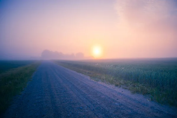 Misty Pathways Encantadora Estrada Terra Cascalho Uma Névoa Manhã Verão — Fotografia de Stock
