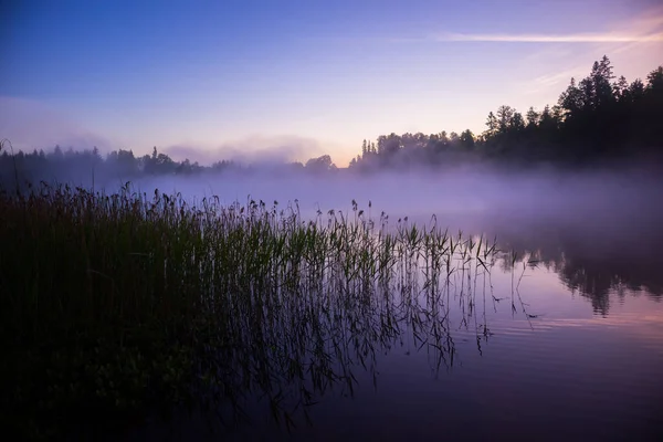 Misty Serenity Tranquila Mañana Verano Tranquilo Lago Del Norte Europa —  Fotos de Stock