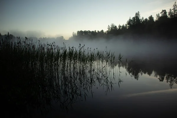 Misty Serenity Tranquilo Verão Manhã Lago Calmo Norte Europa — Fotografia de Stock