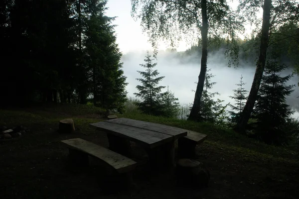 朦胧的宁静 北欧平静湖上的宁静夏日清晨 — 图库照片