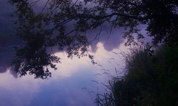 Мистический Рассвет Безмятежный Летний Рассвет Раскрашивающий Реку Прохладные Тона Северной — стоковое фото