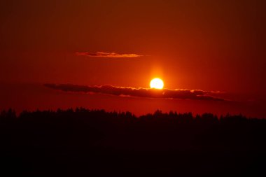 Parlak Şafak: Kuzey Avrupa 'daki Yaz Tarlalarını Boyayan Görkemli Renkli Gün Doğumu