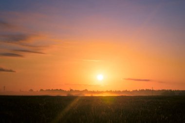 Morning Glory: Majestic Summer Fields Kuzey Avrupa 'da Gündoğumunda yıkandı
