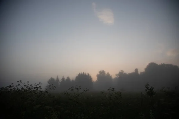 Mystiskt Lugn Foggy Summer Morning Landet Norra Europa — Stockfoto