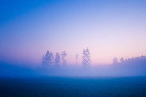 Мистическая Спокойствие Туманное Летнее Утро Сельской Местности Северной Европе — стоковое фото