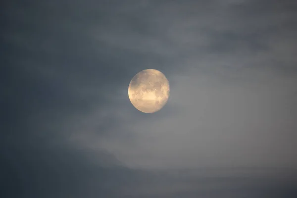 Lunar Serenade Mystical Moon Illuminating Early Morning Sky Northern Europe — Stock Photo, Image