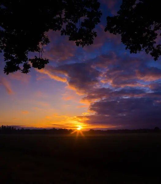Radiant Dawn Величественный Красочный Восход Солнца Возвышающийся Над Летним Солнцем — стоковое фото
