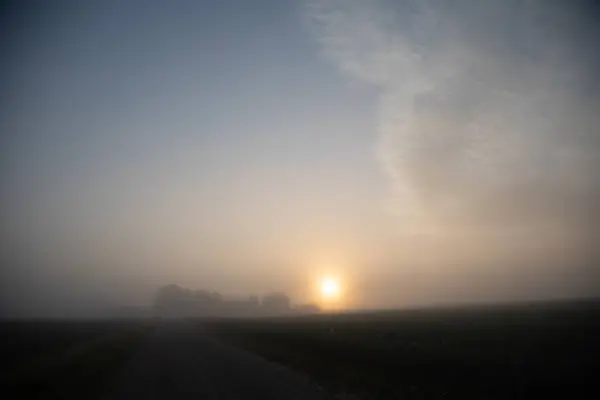 Μυστική Αυγή Γαλήνια Ομίχλη Ανατολή Ηλιοβασίλεμα Αγκαλιάζοντας Καλοκαιρινά Πεδία Στη — Φωτογραφία Αρχείου