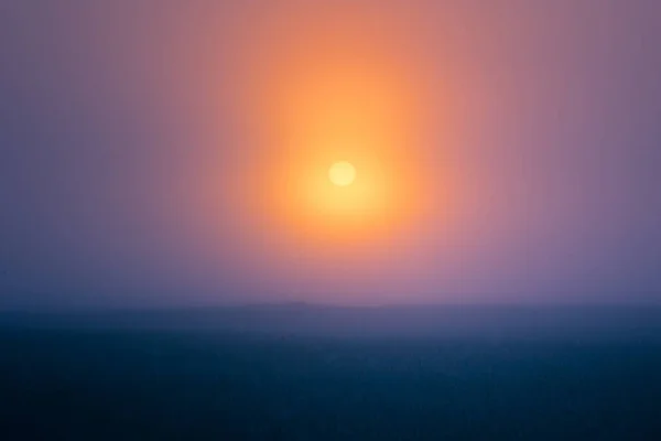 Mystical Dawn Serene Foggy Sunrise Embracing Summer Fields Northern Europe — Stock Photo, Image