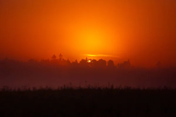 Amanhecer Místico Sereno Foggy Sunrise Abraçando Campos Verão Norte Europa — Fotografia de Stock