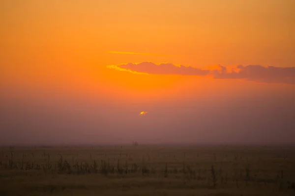 Mistyczny Świt Pogodny Mglisty Wschód Słońca Obejmujący Letnie Pola Europie — Zdjęcie stockowe