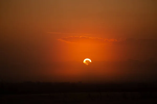 Tajemný Úsvit Klidný Mlhavý Východ Slunce Objímající Letní Pole Severní — Stock fotografie