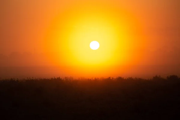 Amanhecer Místico Sereno Foggy Sunrise Abraçando Campos Verão Norte Europa — Fotografia de Stock