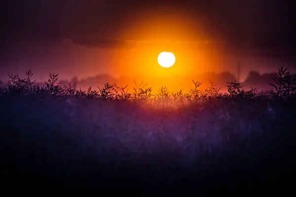 Mistyczny Świt Pogodny Mglisty Wschód Słońca Obejmujący Letnie Pola Europie — Zdjęcie stockowe