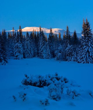 İsveç Kış Harikalar Diyarı: Kuzey Avrupa 'da Gündoğumunda Görkemli Dağlı Karlı Orman