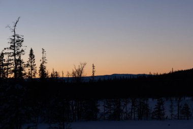 Gizemli İsveç Kış Yaban Hayatı: Kuzey Avrupa 'da Karanlık Gökyüzü Altında Gece Karları
