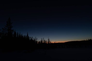 Gizemli İsveç Kış Yaban Hayatı: Kuzey Avrupa 'da Karanlık Gökyüzü Altında Gece Karları