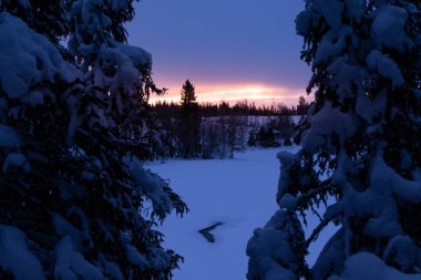 İsveç Kış Harikalar Diyarı: Kuzey Avrupa 'da Orman Kıyıları Arasında Donmuş Nehir Parlıyor
