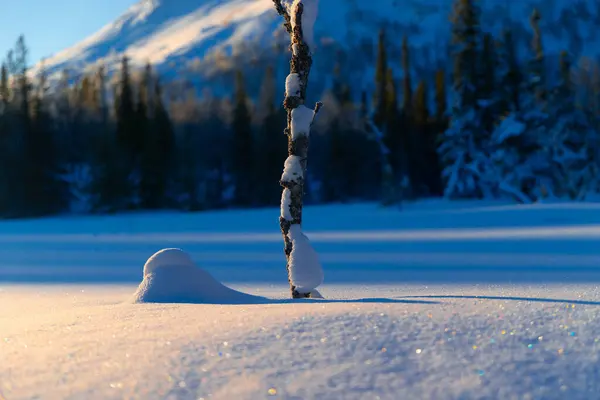 Snowy Splendor: Stunning Wilderness Landscape in Daylight, Sweden in Northern Europe