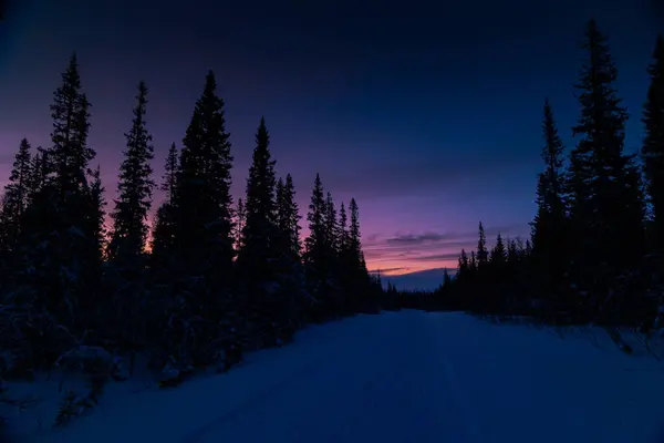 Arctic Splendor: Sunrise over Sweden\'s Snowy Wilderness with Colorful Skies in Northern Europe