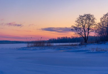 Donmuş göl ve ormanın güzel bir kış gündoğumu manzarası. Kuzey Avrupa 'da şafak vakti gökyüzü ile renkli manzara.