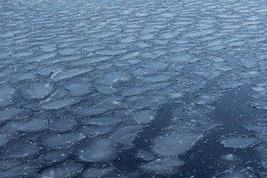 Latva 'da kış boyunca donmuş göl yüzeyindeki buz kalıpları çok güzel çatlamış. Kuzey Avrupa 'nın soğuk manzarası.