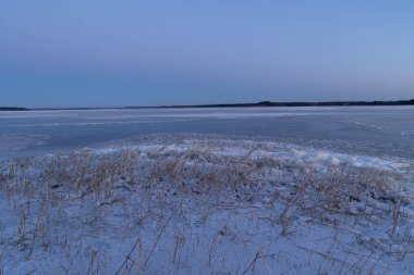 Donmuş gölün kıyısında kuru kamışlı güzel bir kış gündoğumu manzarası. Kuzey Avrupa 'da renkli manzara.