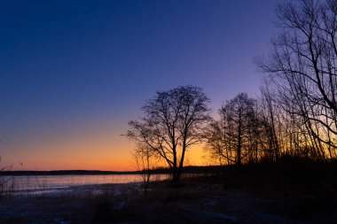 Donmuş göle karşı ağaç silueti olan güzel bir gündoğumu manzarası. Kuzey Avrupa 'nın kış manzarası.
