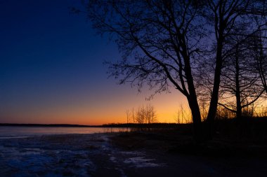 Donmuş göle karşı ağaç silueti olan güzel bir gündoğumu manzarası. Kuzey Avrupa 'nın kış manzarası.