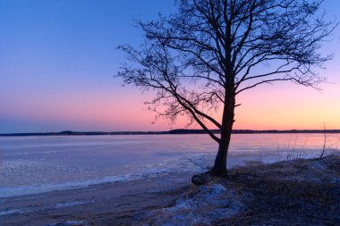 Donmuş göle karşı ağaç silueti olan güzel bir gündoğumu manzarası. Kuzey Avrupa 'nın kış manzarası.