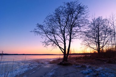 Donmuş göle karşı ağaç silueti olan güzel bir gündoğumu manzarası. Kuzey Avrupa 'nın kış manzarası.