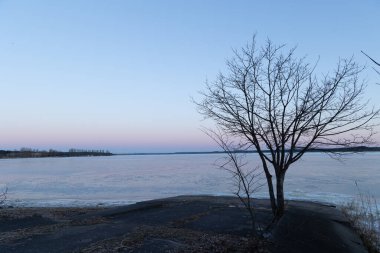 Donmuş göle karşı ağaç silueti olan güzel bir gündoğumu manzarası. Kuzey Avrupa 'nın kış manzarası.