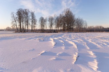 Sahada taze kar manzaralı güzel bir kış sabahı. Kuzey Avrupa 'nın mevsimlik manzarası.