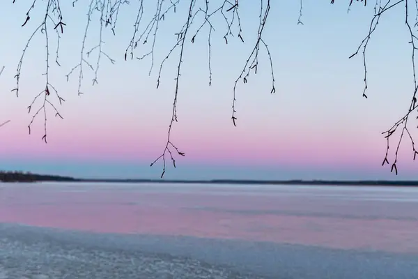 A beautiful minimalist scenery of bare tree branches on the colorful sky background. Frozen lake with a horizon in the distance in Northern Europe.