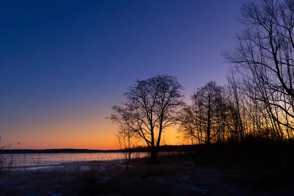 Donmuş göle karşı ağaç silueti olan güzel bir gündoğumu manzarası. Kuzey Avrupa 'nın kış manzarası.