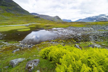 İsveç, Sarek Ulusal Parkı 'nda, ağustosta çok güzel bir dağ gölü. İskandinavya 'nın kuzey doğasının yaz manzarası.