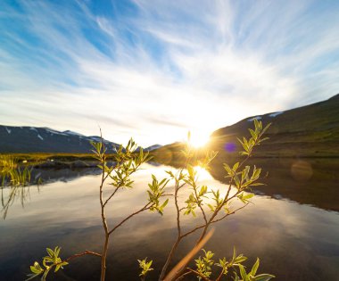 İsveç, Sarek Ulusal Parkı 'nda, ağustosta çok güzel bir dağ gölü. İskandinavya 'nın kuzey doğasının yaz manzarası.