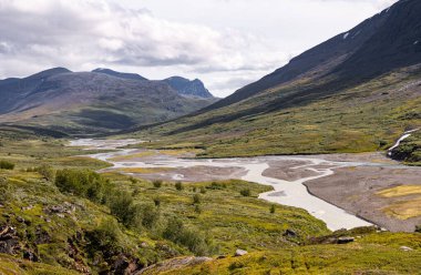 Yerli bitkilerle dolu güzel Rapa nehri Rapadalen manzarası. İsveç 'teki Sarek Ulusal Parkı' nın yukarısından bir dağ nehri. Kuzey Avrupa 'nın yaz manzarası.