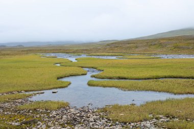 İsveç 'teki Sarek Ulusal Parkı' nda güzel bir dağ nehri manzarası. Kuzey yaban hayatı manzarası.