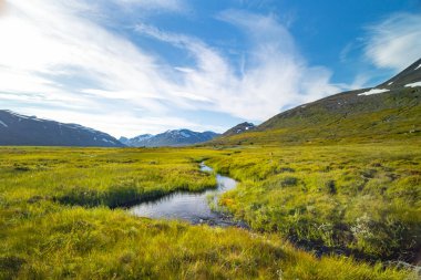 İsveç 'teki Sarek Ulusal Parkı' nda küçük, kayalık bir dağ deresi. Kuzey Avrupa 'da su akışı olan güzel bir yaz manzarası..